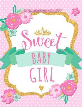 Sweet Baby Girl - Medium Gift Bag                 9 1/2"H x 8"W x 4 1/2"D