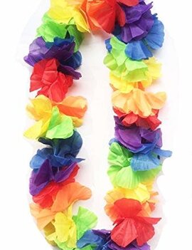 Lei Rainbow