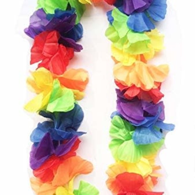 Lei Rainbow