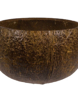 Authentic Coconut Cup, 18oz