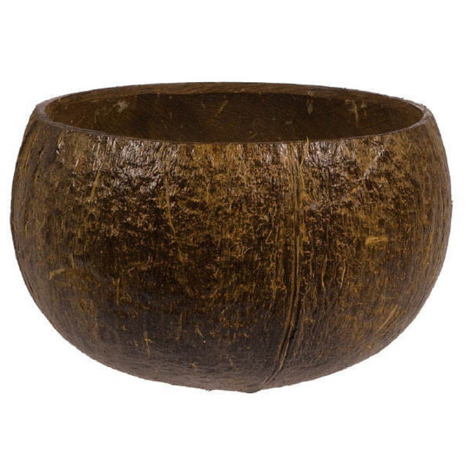 Authentic Coconut Cup, 18oz