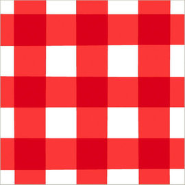 American Summer Red Gingham Luncheon Napkins, 16ct