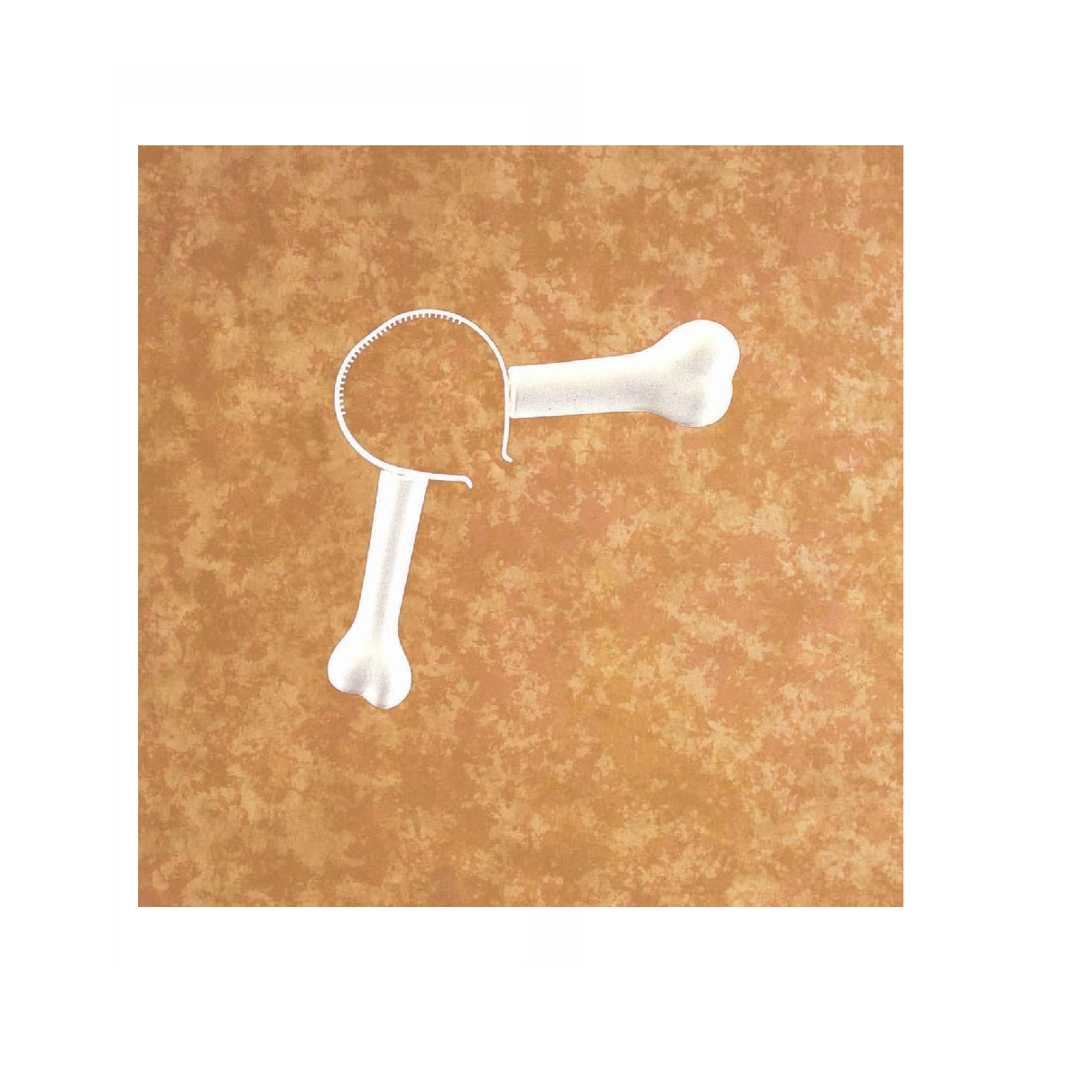 Prehistoric Bone - Thru - Head Headpiece