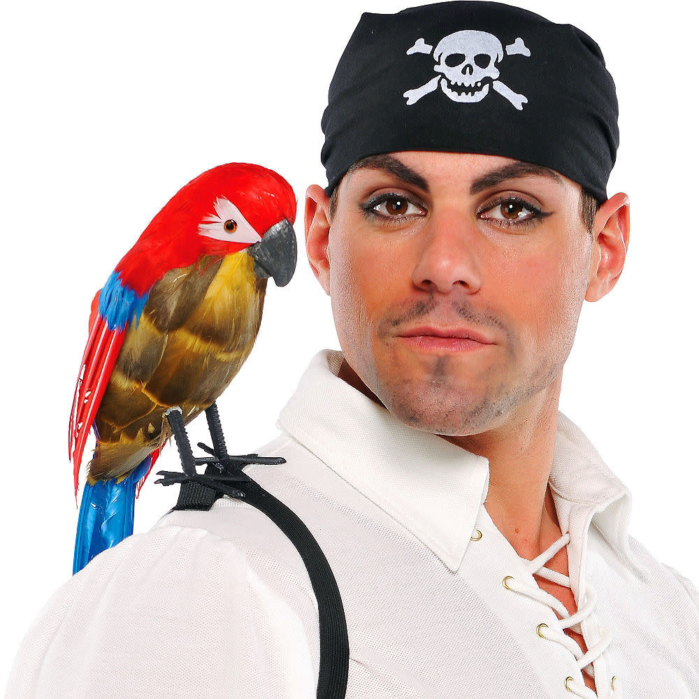 Попугай на плече пирата