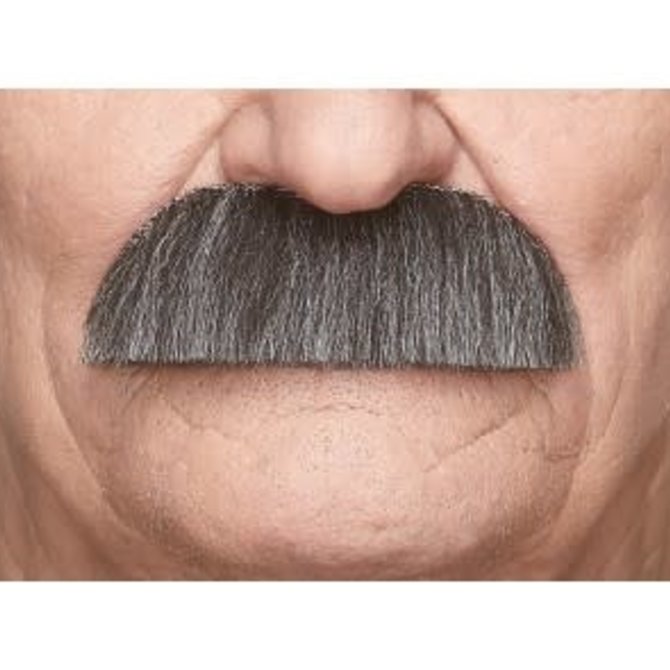 The Einstein Mustache- Grey