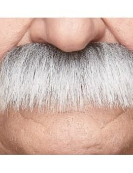 Lampshade Mustache- White/Grey