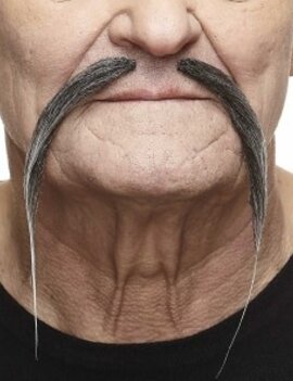 Chinese Mustache- Grey