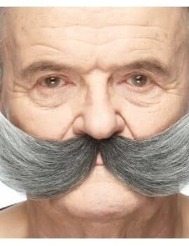 Fisherman Mustache- Grey