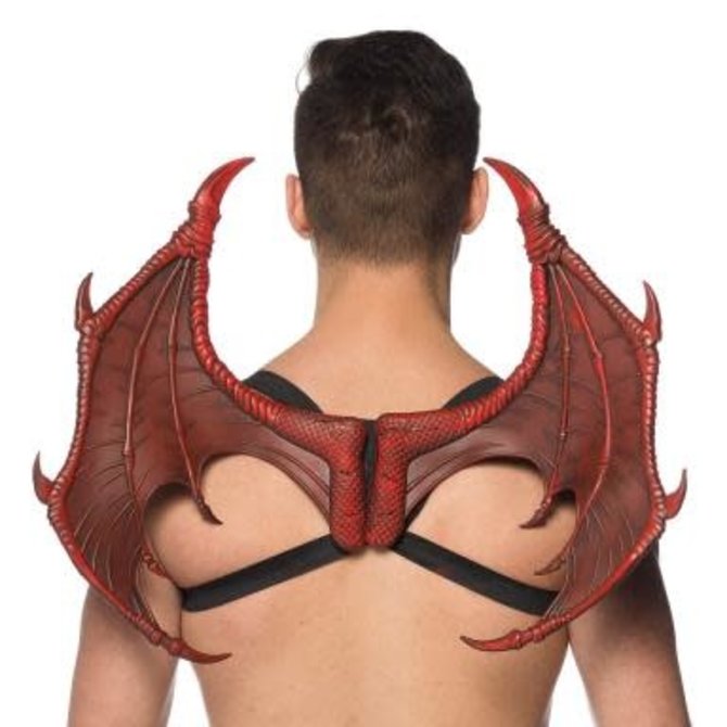 Supersoft Mini Dragon Wings 17"-13" -Red