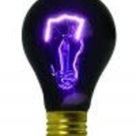 75 Watt Blacklight Bulb