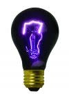 75 Watt Blacklight Bulb