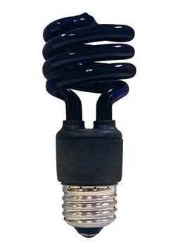 CFL Bulb- Blacklight