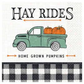 Harvest Market Luncheon Napkins -16ct