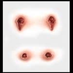 Vampire Bites – 3D FX Transfers