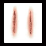 Cutter – 3D FX Transfers