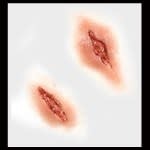 Shanked – 3D FX Transfers