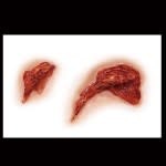 Gouged – 3D FX Transfers