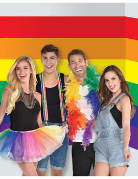 Room Roll - Pride Stripe -16'x4'