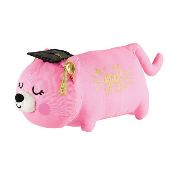 graduation autograph cat