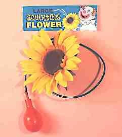 Squirt Flower- 6"