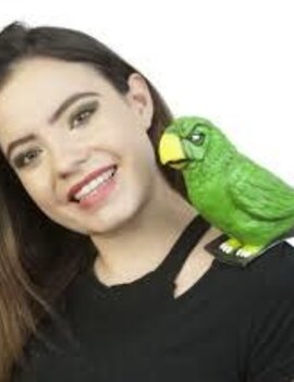 Ghoulish Buddy- Parrot