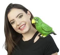 Ghoulish Buddy- Parrot