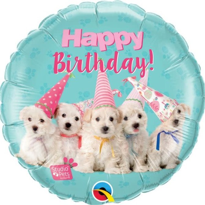 Studio Pets - Birthday Puppies - 18"