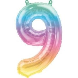 16" Number 9 - Rainbow