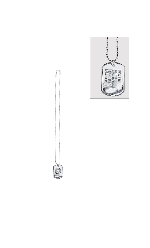 Military Silver Dog Tag