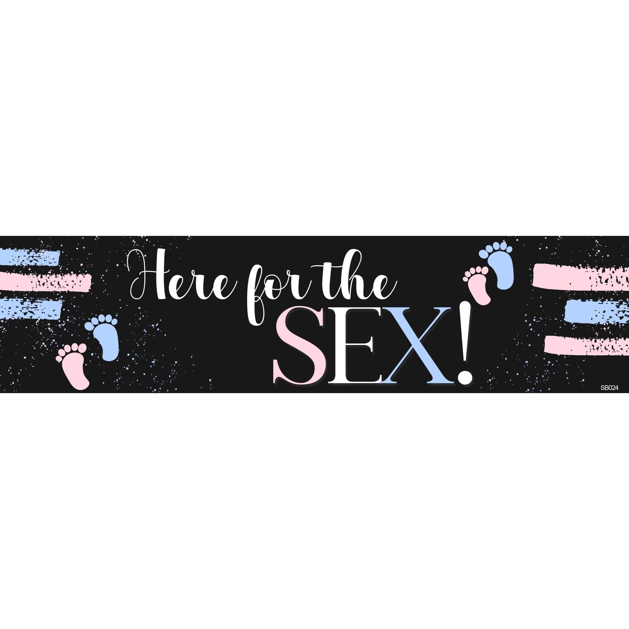 Gender Reveal Here for the Sex Banner, 4 x 1 - POP! Party Supply