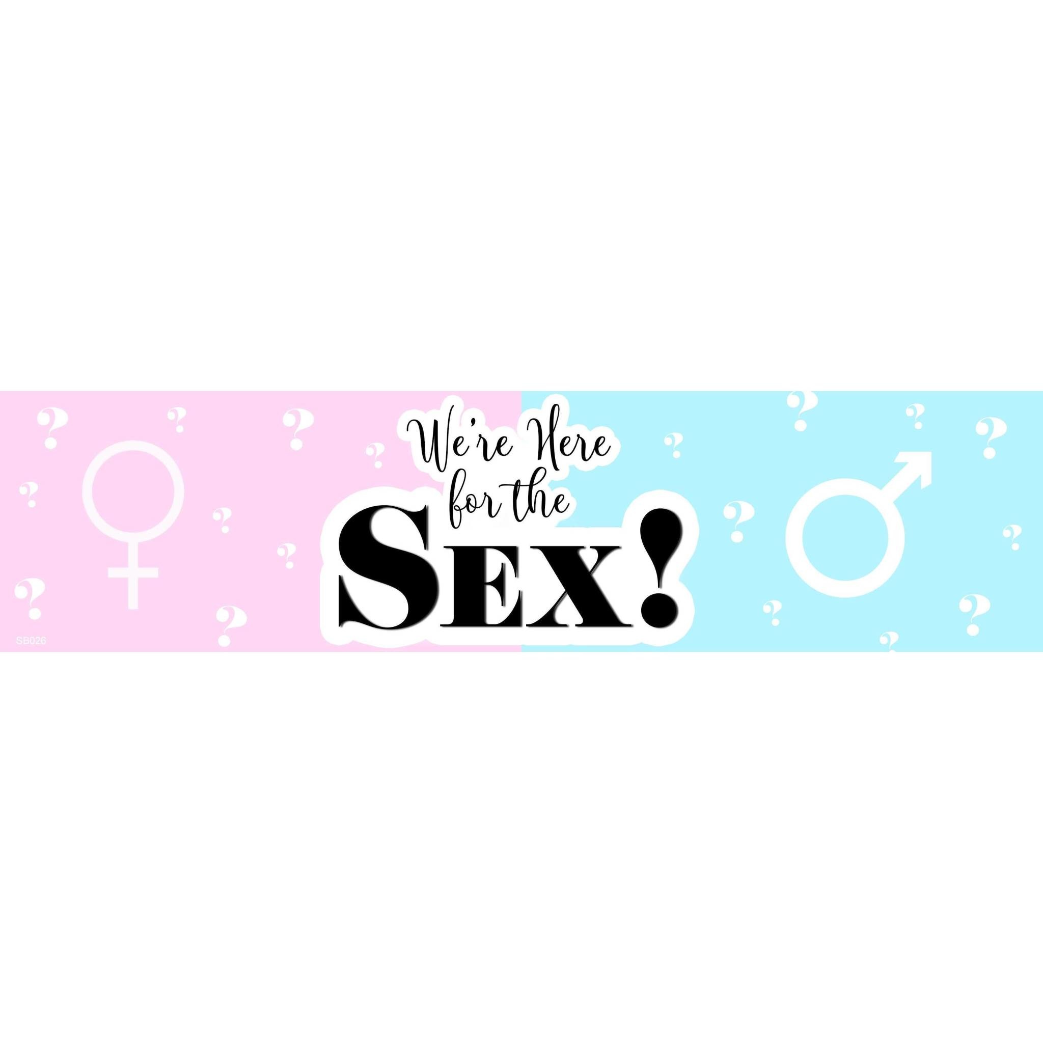 Here For The Sex Banner 4 x 1 - POP! Party Supply