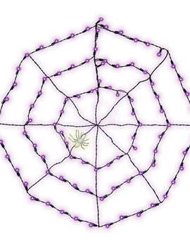 Spider Web Light Set