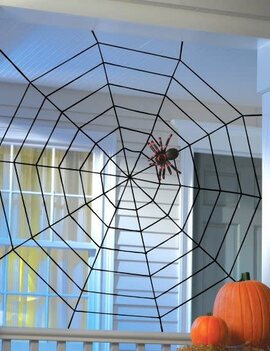 5' Rope Spider Web