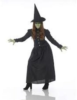 Womens Wicked Witch