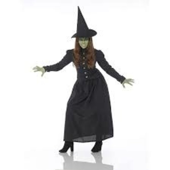 Womens Wicked Witch