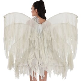 Ghostly Distressed Wings