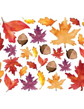 Fresh Autumn Leaves Mega Value Pack Cutouts -30ct