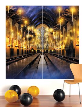 Harry Potter 2 Piece Back Drop