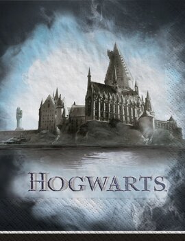 Harry Potter Luncheon Napkins -36ct
