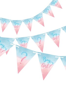 The Big Reveal Pennant Banner