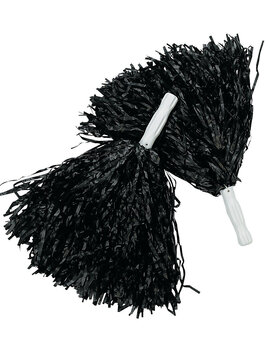 12" Pom Pom -  Black, 2ct