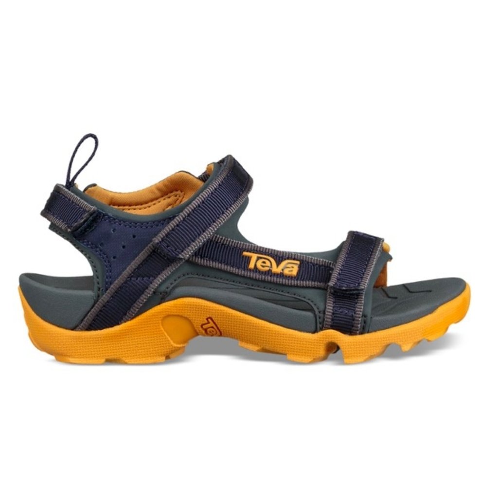 teva tanza sale