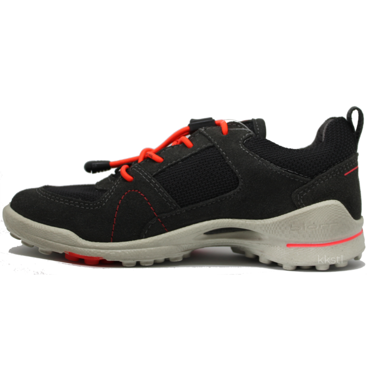 Ecco Ecco Biom Ultra GTX Dk Shadow/Titanium