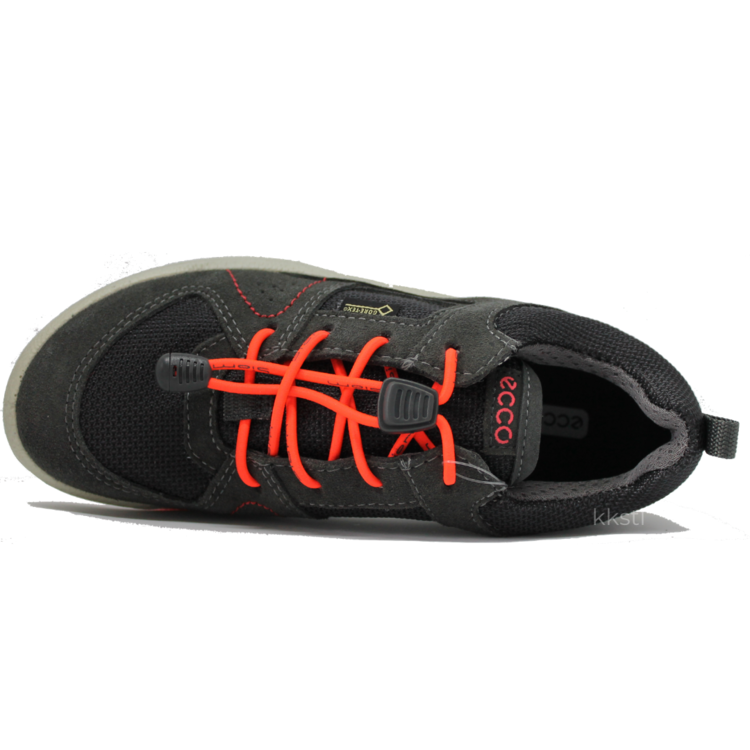 Ecco Ecco Biom Ultra GTX Dk Shadow/Titanium