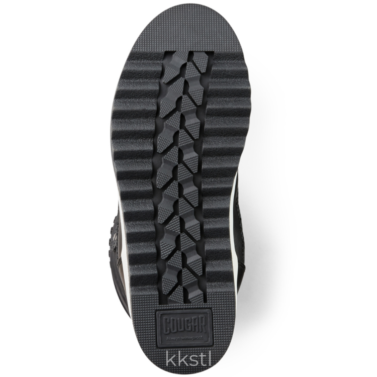 Cougar Cougar Moscato Black