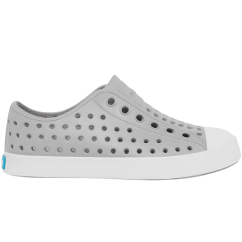 Native Jefferson Pigeon Grey