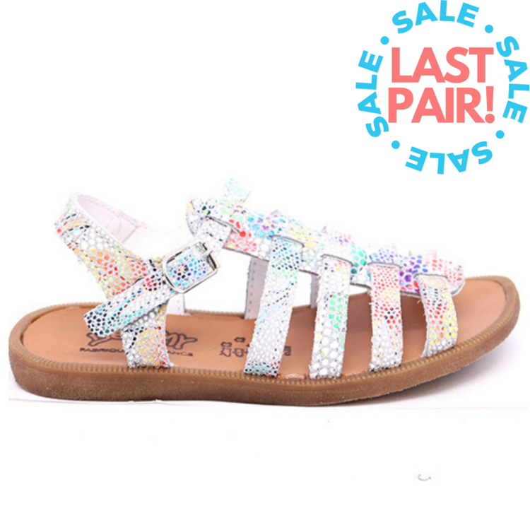 Bellamy Bellamy Artist