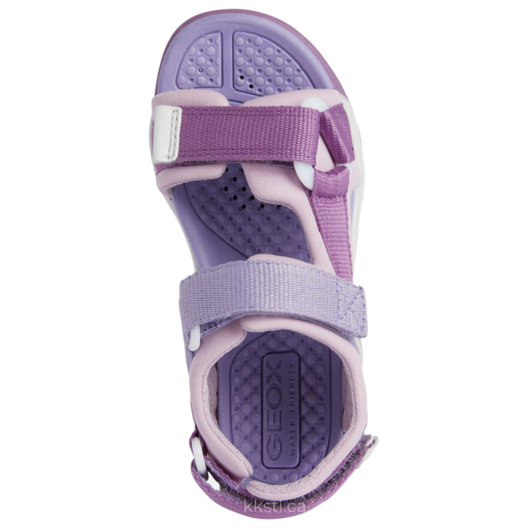 Geox Geox J Borealis (O/T) Purple/Pink