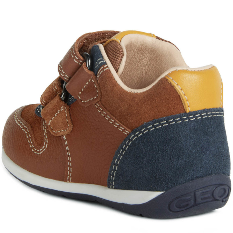 Geox Geox B Each Nut/Navy