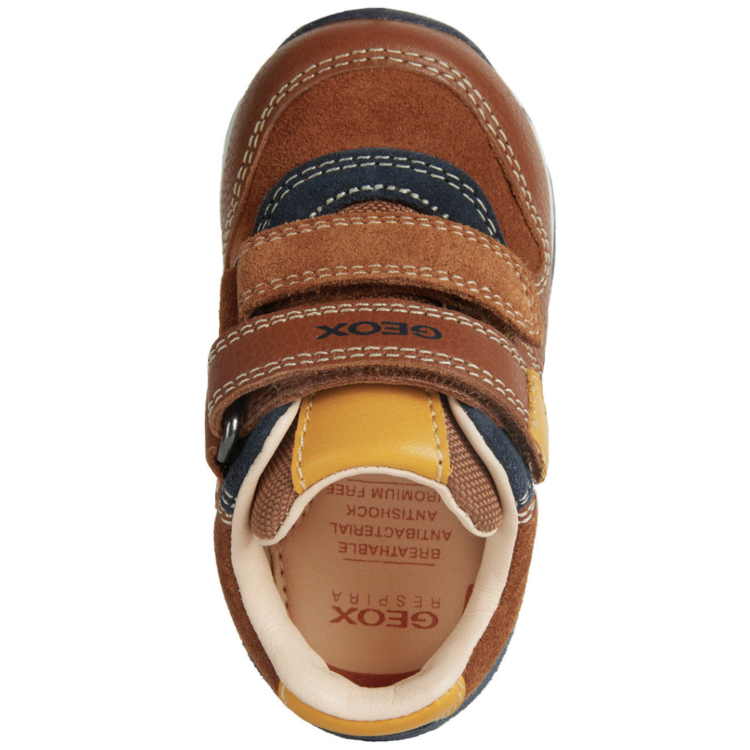 Geox Geox B Each Nut/Navy